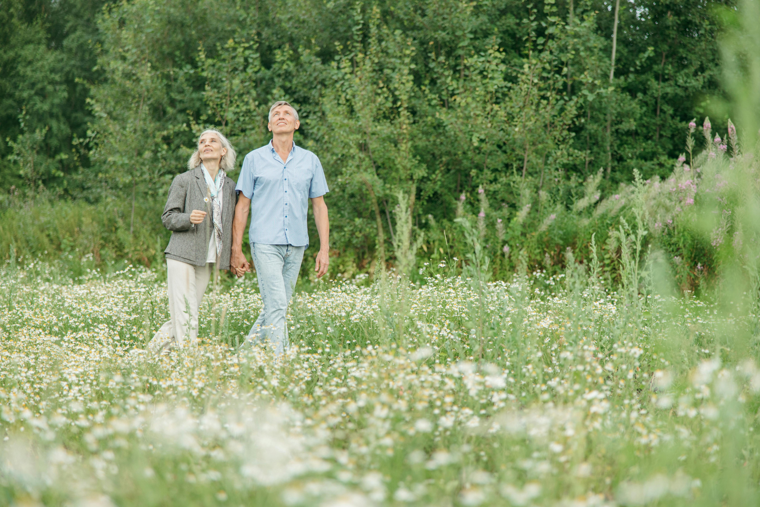 De vele voordelen van wandelen